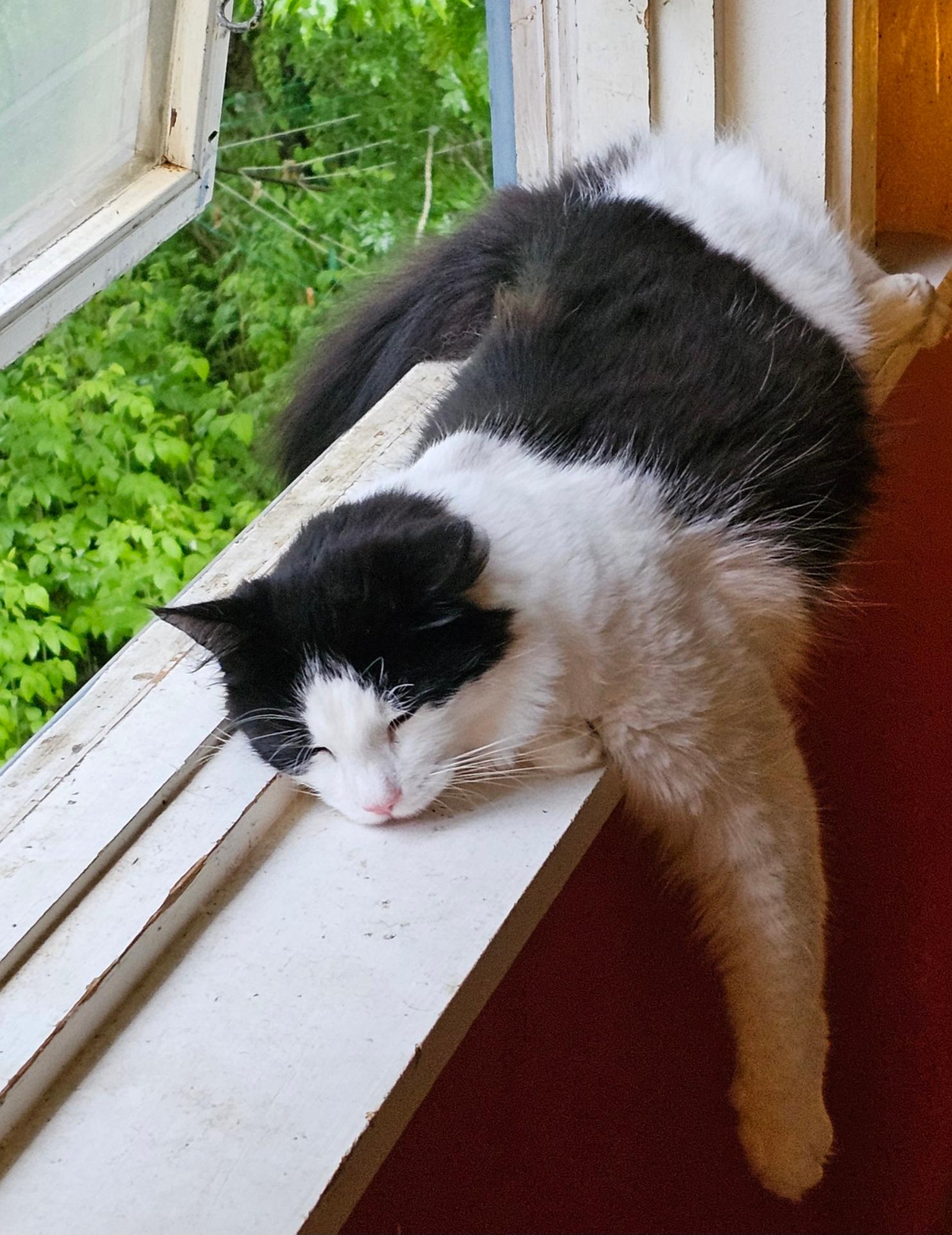 Sleepy